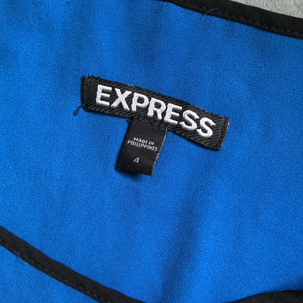 Express Dress - Picture 2 of 4